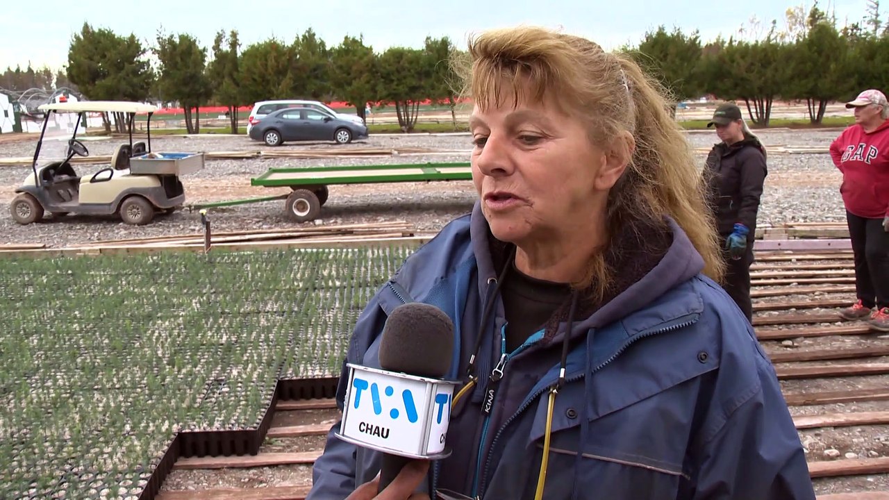 20 oct TOPO HN pepiniere arbres V2