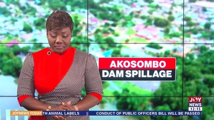Akosombo Dam spillage: Govt begins processes to create access road to safe haven in North Tongu