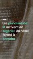 Les punaises de lit arrivent en Algérie : Un hôtel fermé à Annaba