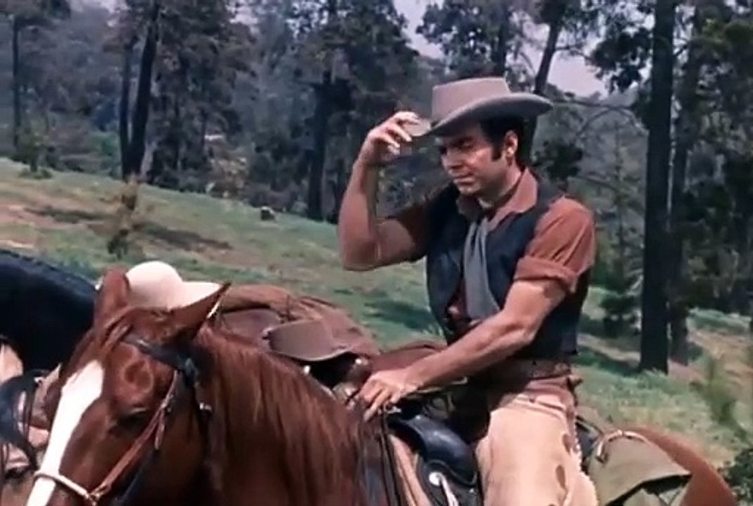 BONANZA CAP 1