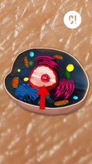 A cause de son ADN, ce tueur en série est retrouvé 40 ans plus tard !