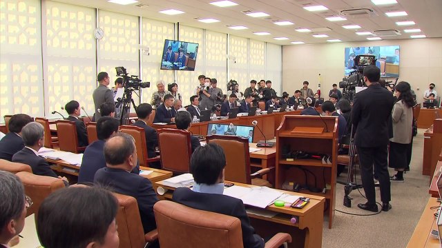 럼피스킨병 매몰처분 범위, 백신 접종 뒤 축소 검토 / YTN