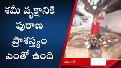 అన్నమయ్య జిల్లా: దసరా రోజున జమ్మి చెట్టును ఎందుకు పూజిస్తారో తెలుసా..?