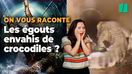 À New York, le mythe des alligators dans les égouts est si populaire qu’il a le droit à sa propre statue