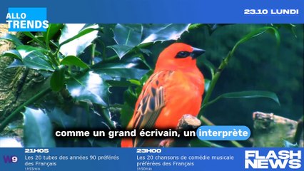 Le jury de The Voice Kids dévoilé en exclusivité !