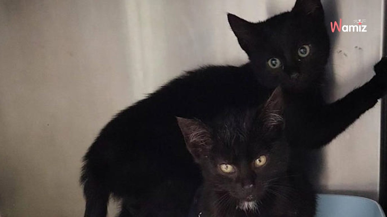 Wanderin aus Thüringen blutet das Herz nach Fund beim Ausflug