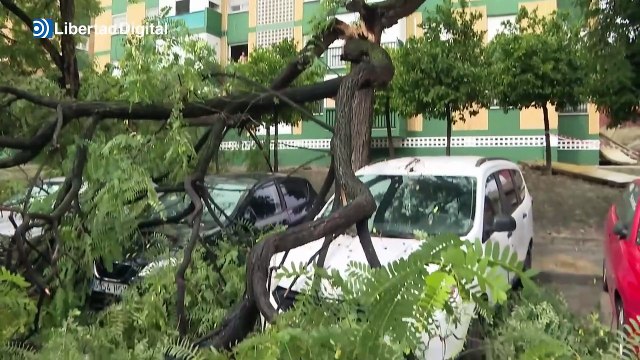 Las consecuencias de la borrasca Bernard