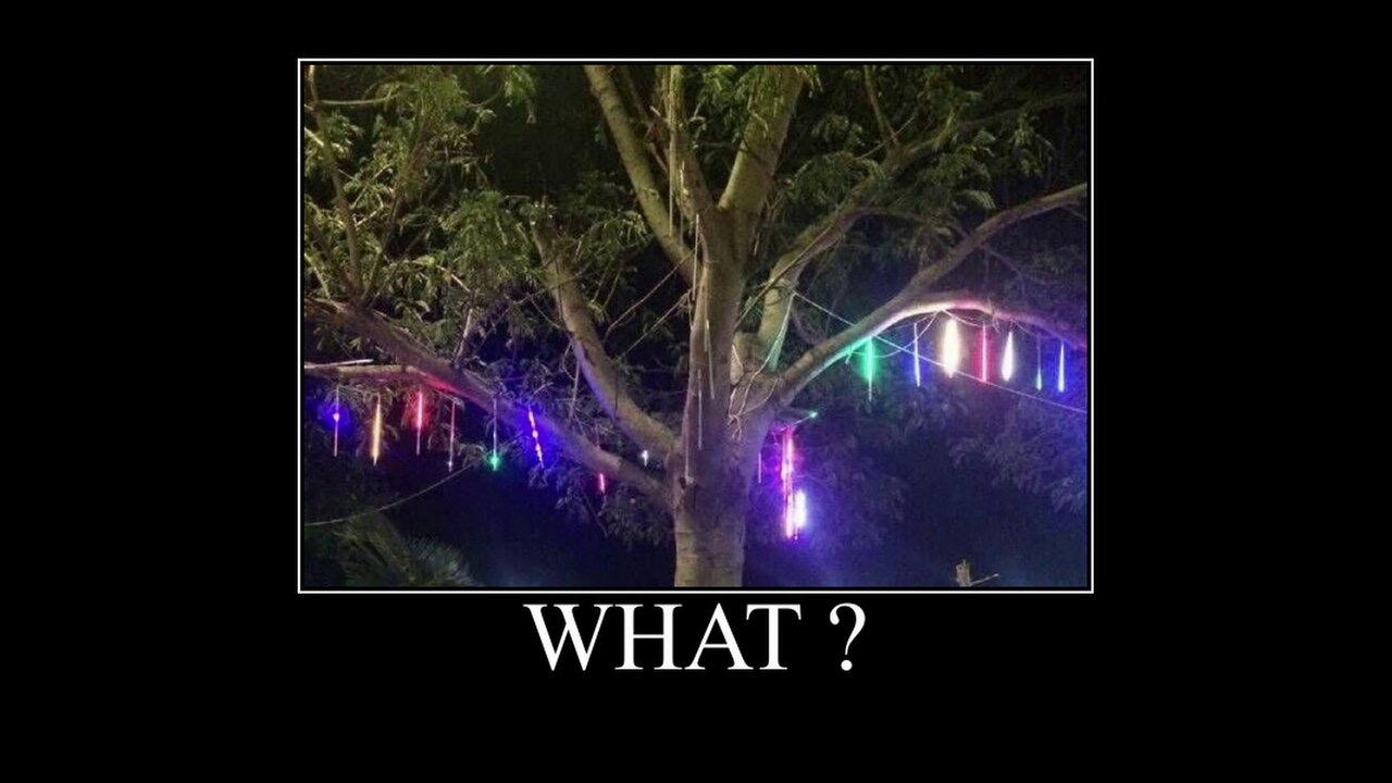 flandre tree