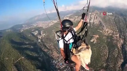 Il a fait un saut en parapente avec son chien, ces moments ont été filmés