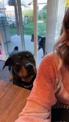 Mère, il est temps de faire notre promenade