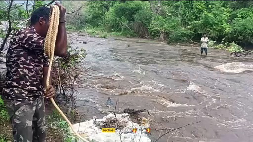 இராஜபாளையத்தில் சாஸ்தா கோவில் ஆற்றில் திடீர் வெள்ளப் பெருக்கு! இளைஞரை கயிறு கட்டி மீட்ட வனத்துறை!