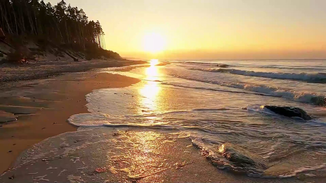 "Calm Ambient Music: Zen Garden Oasis for Relaxation"