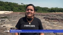 Seca extrema na Amazônia revela gravuras rupestres