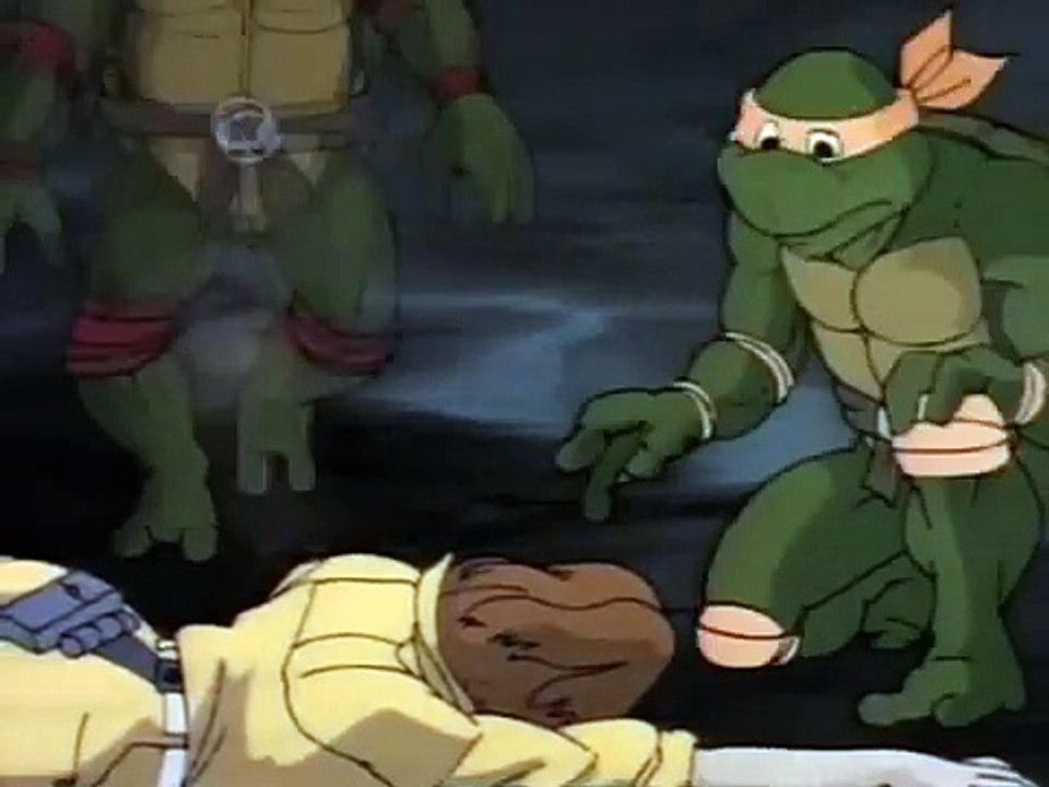 Teenage Mutant Hero Turtles - Die Grünen kommen