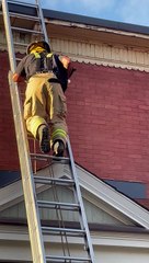 Un chat saute des bras d'un pompier alors qu'il est secouru