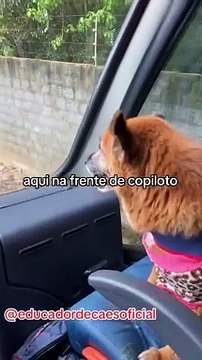 Ônibus escaolar viraliza nas redes sociais