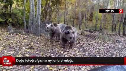 Doğa fotoğrafçısının ayılarla diyaloğu