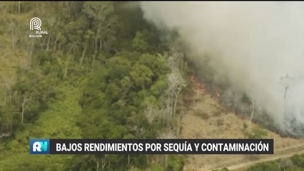Bajos rendimientos en el agro por sequía y contaminación
