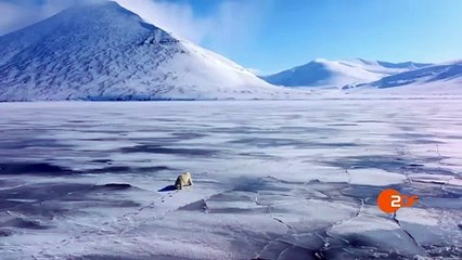 Die Arktis - 66,5 Grad Nord | movie | 2023 | Official Teaser