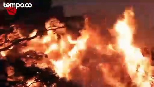 Kawasan Gunung Arjuno Kembali Terbakar, Hanguskan 50 Hektar Lahan