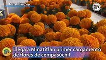 Llega a Minatitlán primer cargamento de flores de cempasúchil desde la Ciudad de México