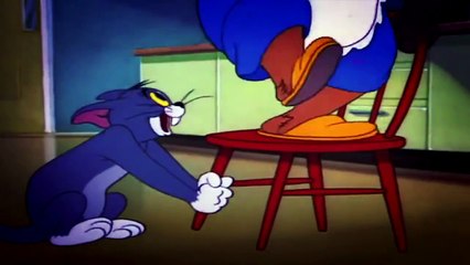 [short film comedy] Nit Witty Kitty cartoon for kids