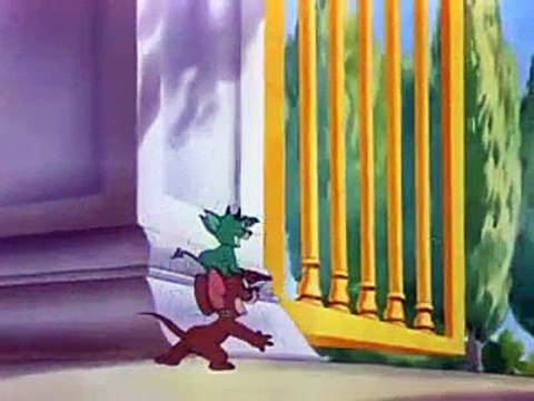 Tom and Jerry Cartoon Springtime for Thomas 2 240p Tom And Jerry Cartoons