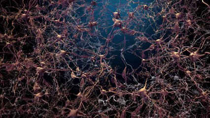 Human - Il Mondo Dentro Di Noi S01e01 Reazioni