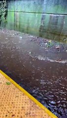 Subways Turned To Rivers