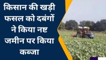 सीतापुर : दबंगों ने किसान की खड़ी फसल को किया नष्ट जमीन पर किया कब्जा, वीडियो वायरल