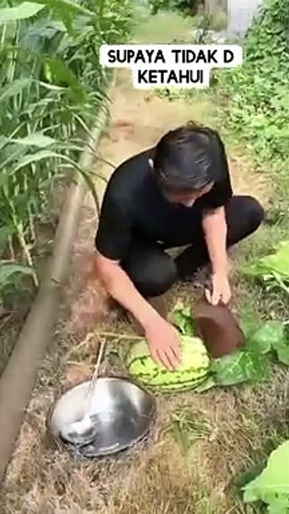 Boleh di tiru nih