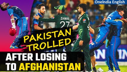 Afghanistan beat Pakistan World Cup 2023| Historic Triumph: Even more historic trolling of Pakistan