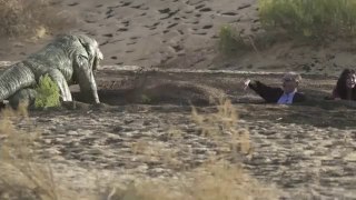 Le dragon de Komodo attaque un acteur égyptien