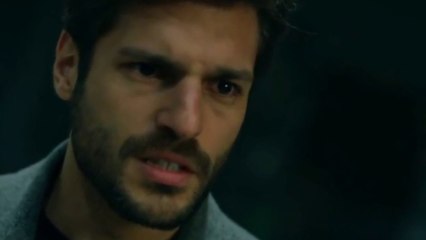 Anillo Capitulo 48 - Audio Español