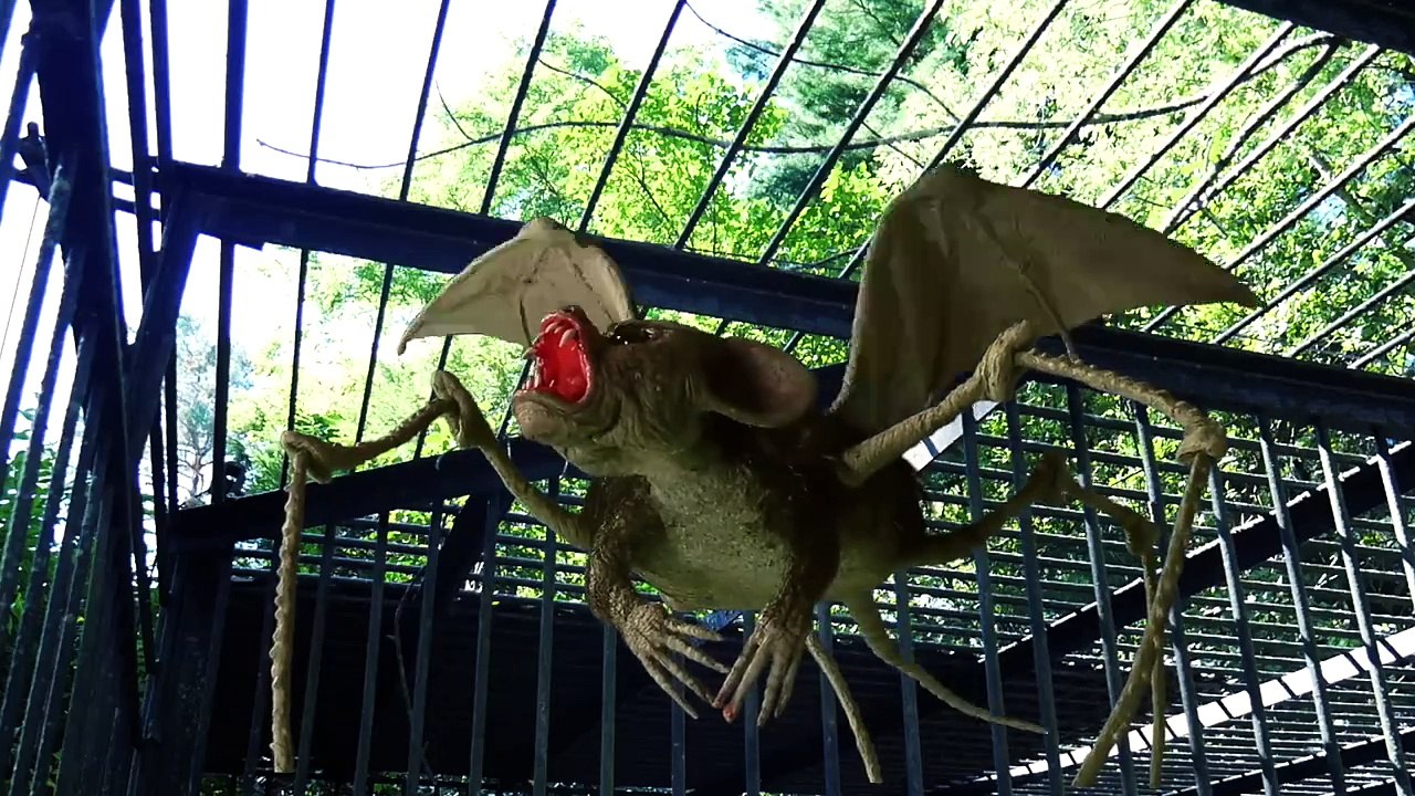 Cocaine Shark Trailer DF