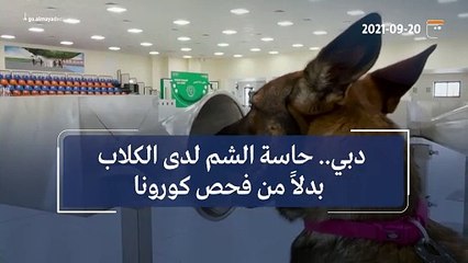 دبي.. حاسة الشم لدى الكلاب بدلاً من فحص كورونا