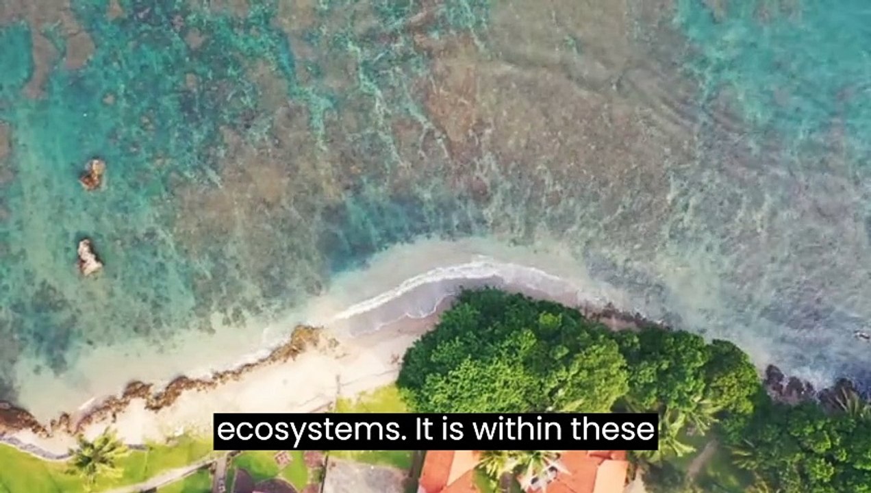 In a world filled with chaos and uncertainty, there is one constant that remains unwavering - our beautiful planet Earth.