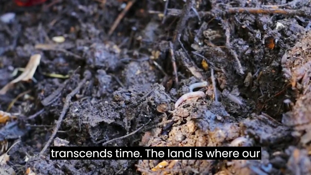 In a world filled with wonder and awe, ecosystems stand as the beating heart of our planet, pulsing with life and vitality.