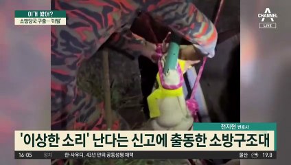 하수구에 나타난 악어…소방 구출 ‘아찔’