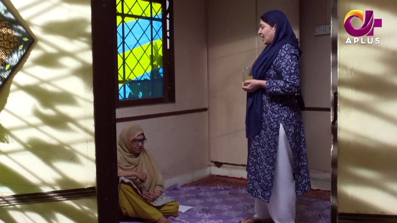 Mujhe Beta Chahiye - Episode 18