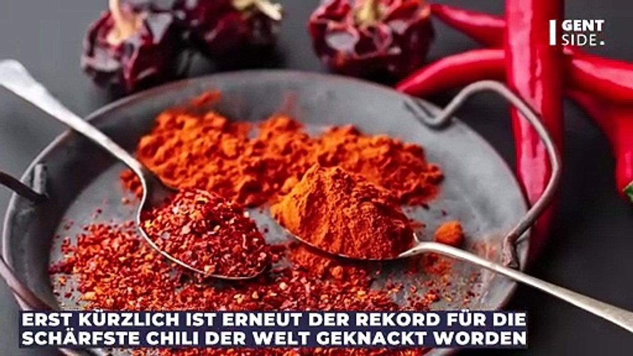 Neuer Weltrekord: Das ist die schärfste Paprika der Welt