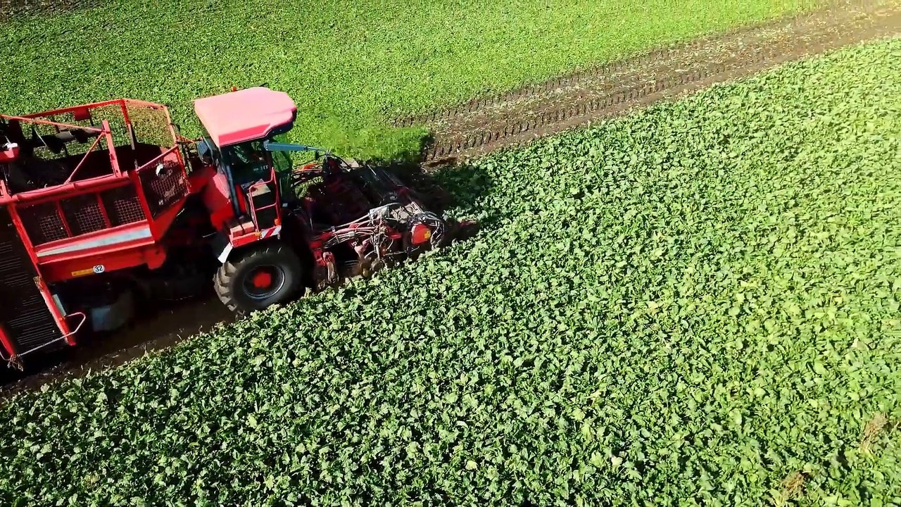 Why China May Vanish Off the Global Map! _ Peter Zeihan