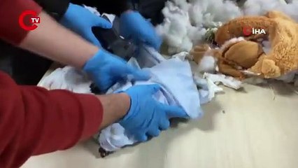 Oyuncak ayının içinden uyuşturucu çıktı!