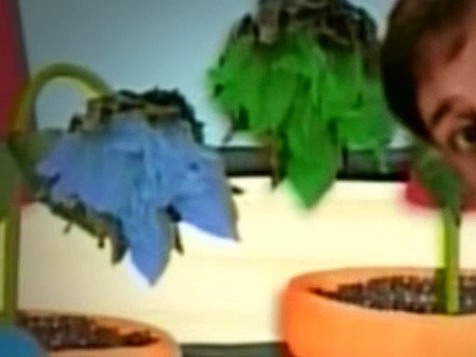 Blues Clues Season 2 Episode 17 Nurture Video Dailymotion 