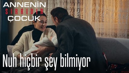 Nuh hiçbir şey bilmiyor