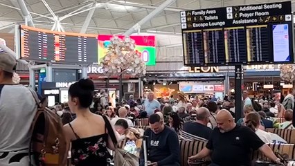 Jet-Setter Shares Great Tip to Tackle Those Busy Airports