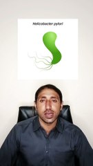 Helicobacter pylori   amoxil capsule uses