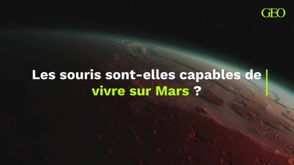 Les souris sont-elles capables de vivre sur Mars ?