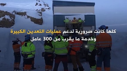 النرويج تغلق مدينة بأكملها.. لتستعيد الحياة البرية من جديد!