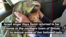 Israeli Singer Returns to Rescue Cats Amid Border Tensions